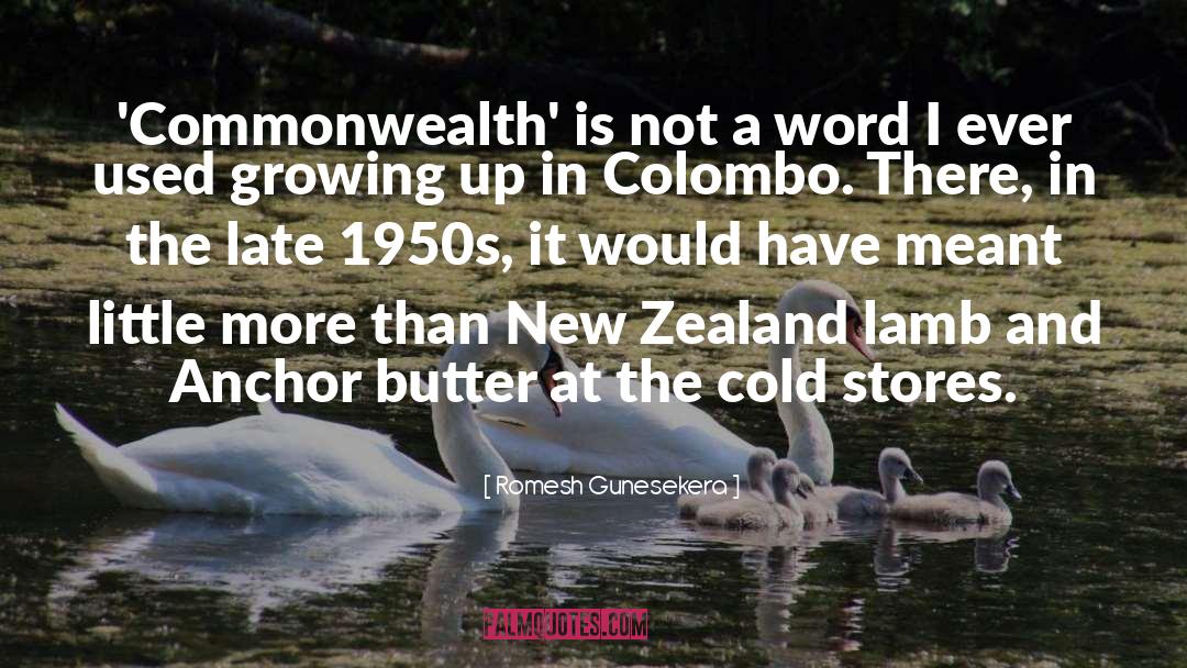 Romesh Gunesekera Quotes: 'Commonwealth' is not a word