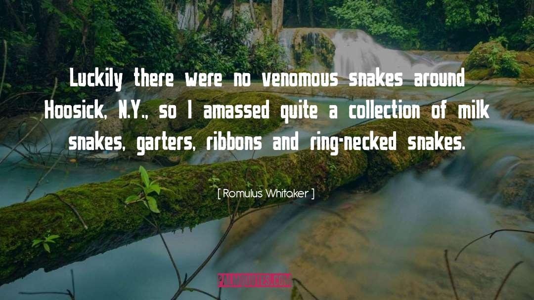 Romulus Whitaker Quotes: Luckily there were no venomous