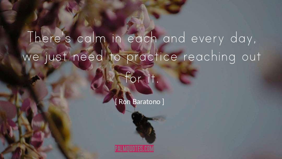 Ron Baratono Quotes: There's calm in each and