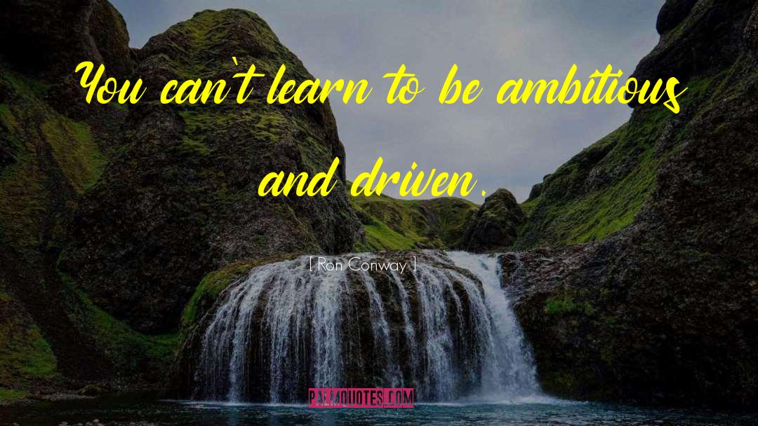 Ron Conway Quotes: You can't learn to be