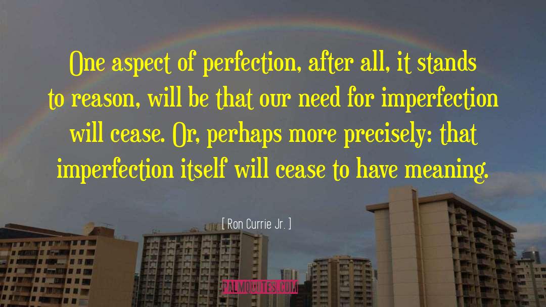 Ron Currie Jr. Quotes: One aspect of perfection, after