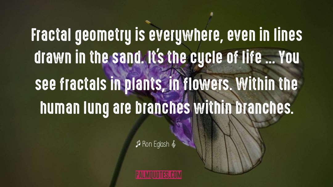 Ron Eglash Quotes: Fractal geometry is everywhere, even