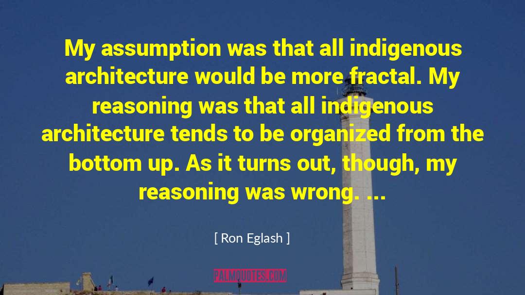 Ron Eglash Quotes: My assumption was that all