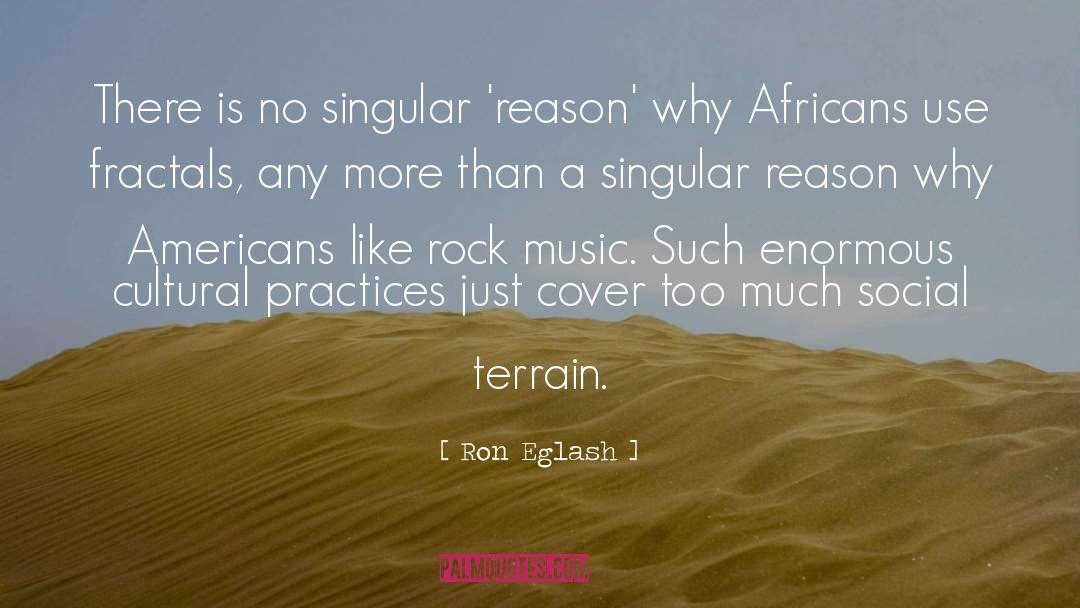 Ron Eglash Quotes: There is no singular 'reason'