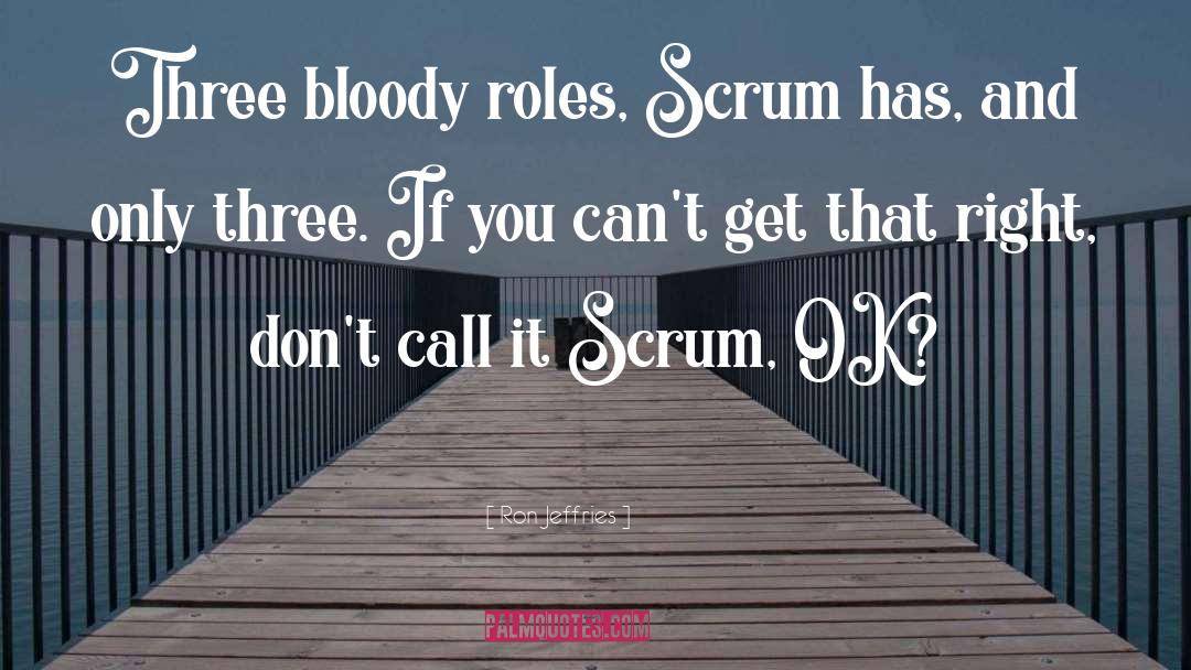 Ron Jeffries Quotes: Three bloody roles, Scrum has,