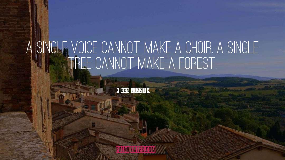 Ron Lizzi Quotes: A single voice cannot make