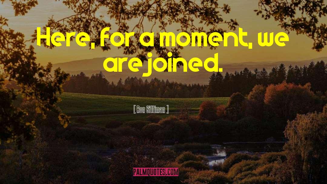 Ron Silliman Quotes: Here, for a moment, we