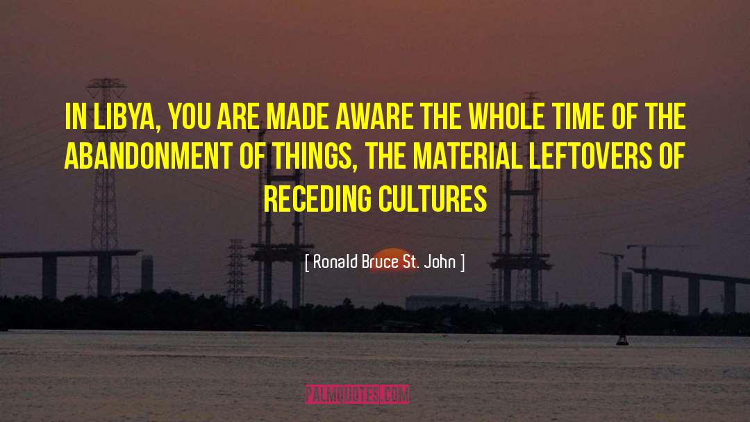 Ronald Bruce St. John Quotes: In Libya, you are made