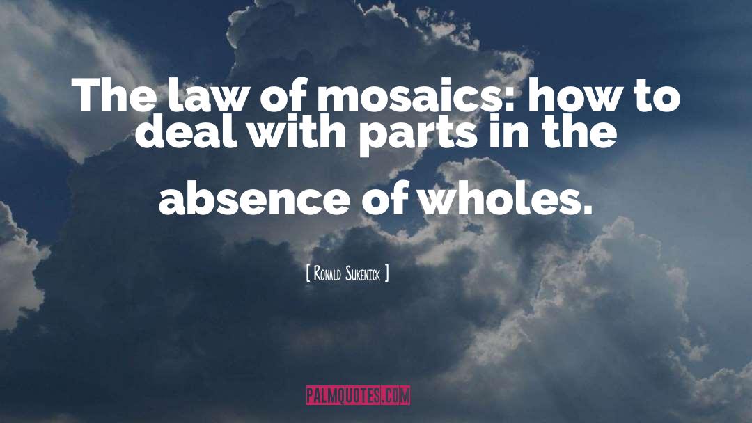 Ronald Sukenick Quotes: The law of mosaics: how