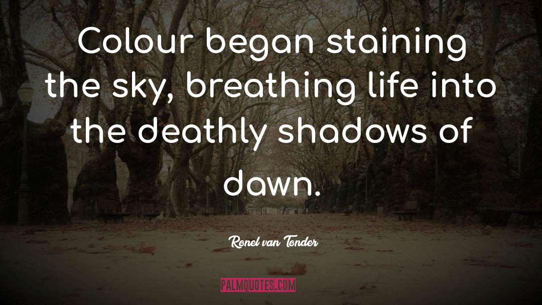 Ronel Van Tonder Quotes: Colour began staining the sky,