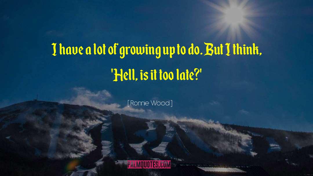 Ronnie Wood Quotes: I have a lot of