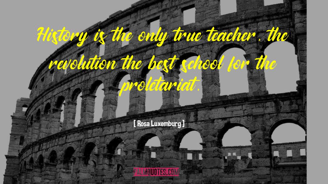 Rosa Luxemburg Quotes: History is the only true