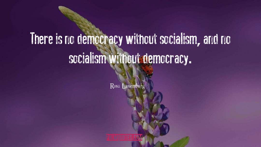 Rosa Luxemburg Quotes: There is no democracy without