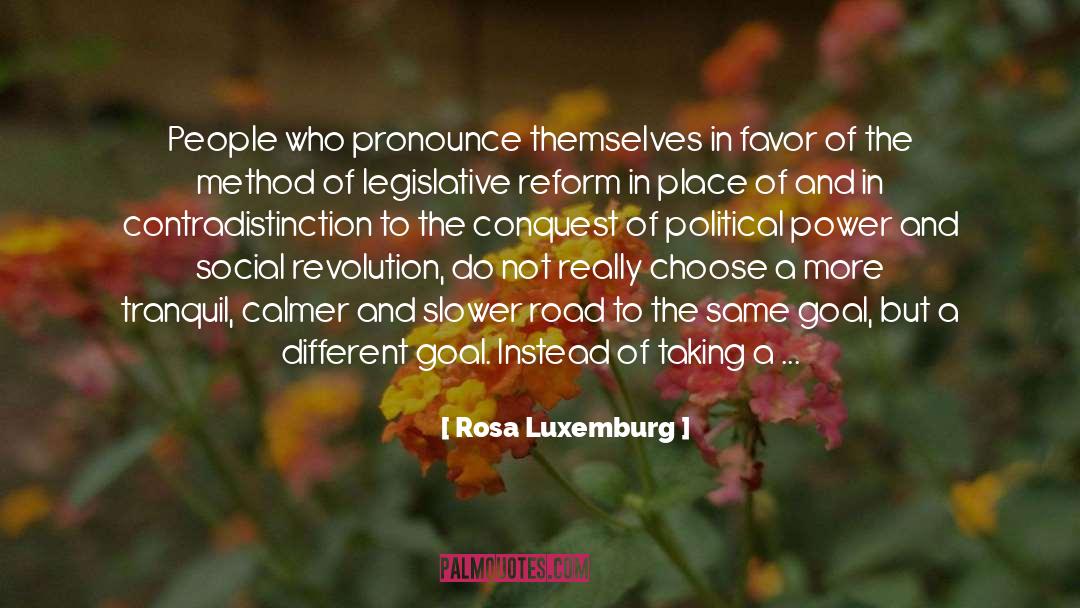 Rosa Luxemburg Quotes: People who pronounce themselves in