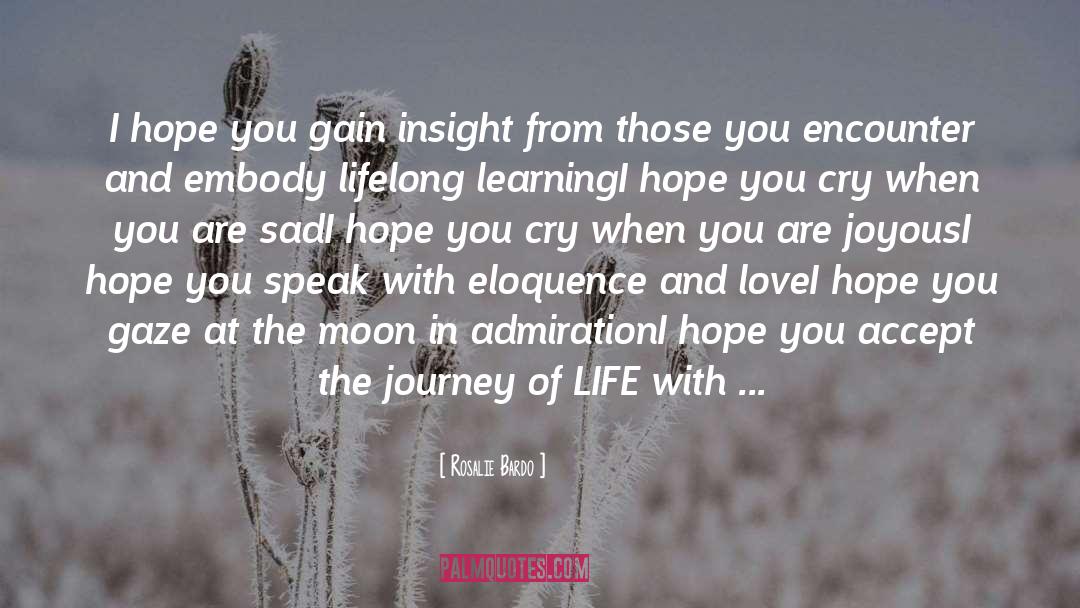 Rosalie Bardo Quotes: I hope you gain insight