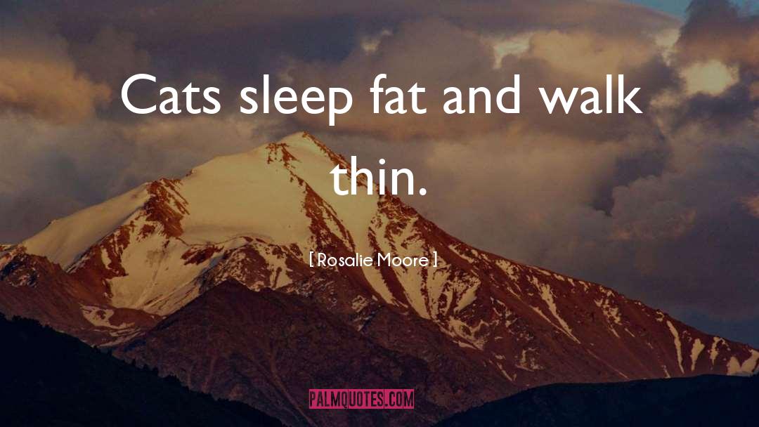 Rosalie Moore Quotes: Cats sleep fat and walk