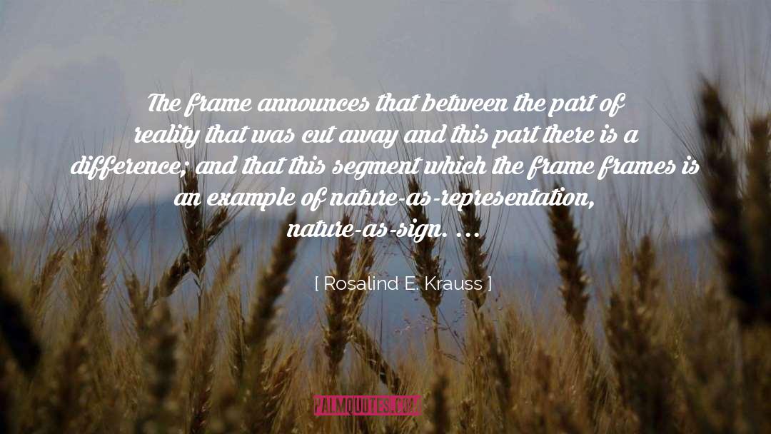 Rosalind E. Krauss Quotes: The frame announces that between