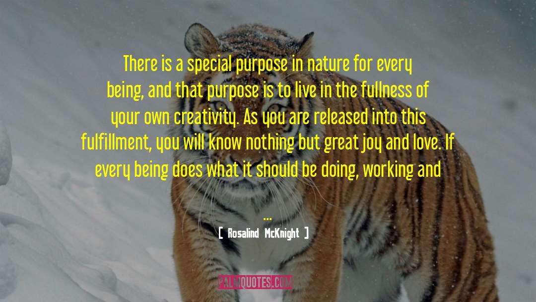 Rosalind McKnight Quotes: There is a special purpose