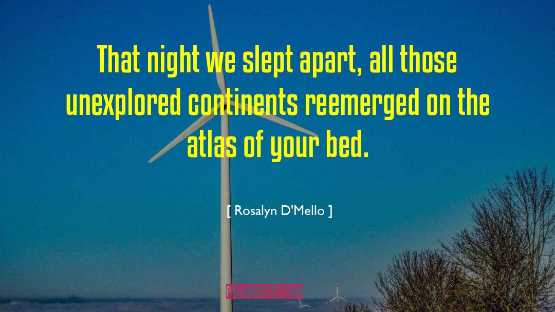 Rosalyn D'Mello Quotes: That night we slept apart,