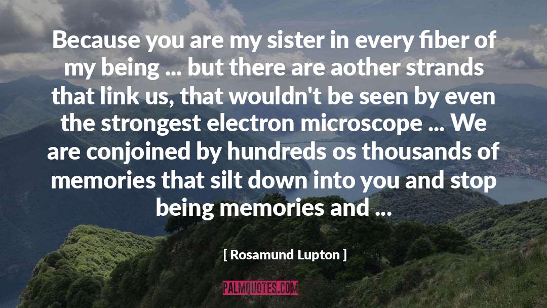 Rosamund Lupton Quotes: Because you are my sister