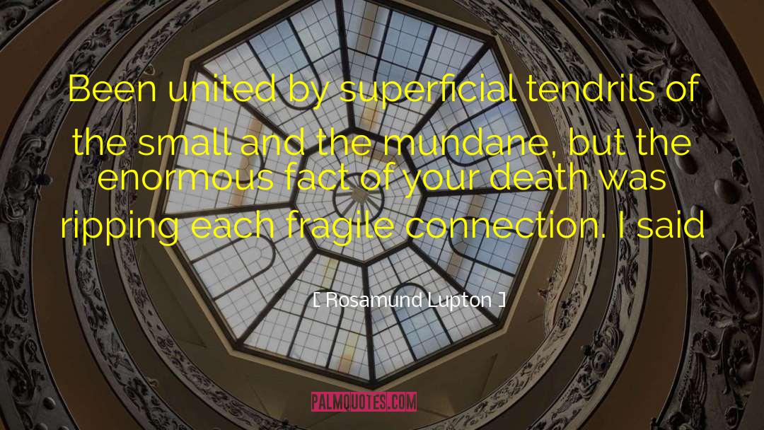 Rosamund Lupton Quotes: Been united by superficial tendrils