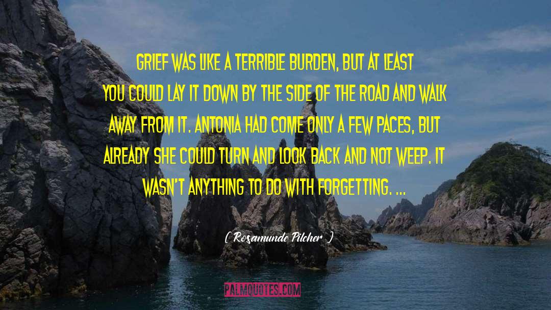 Rosamunde Pilcher Quotes: Grief was like a terrible