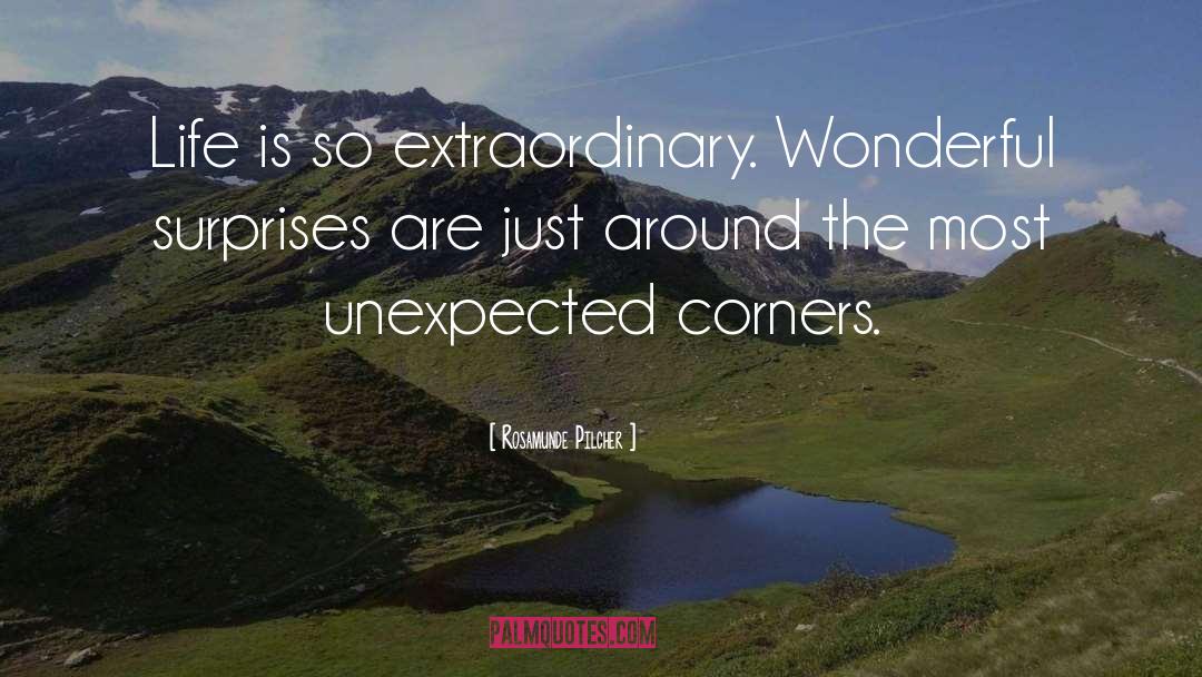 Rosamunde Pilcher Quotes: Life is so extraordinary. Wonderful