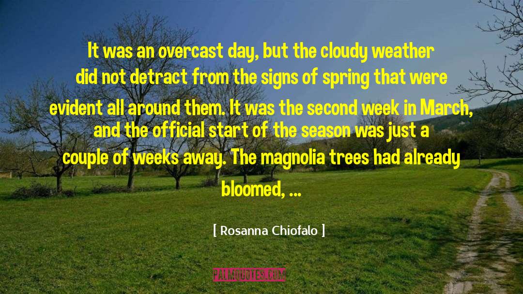 Rosanna Chiofalo Quotes: It was an overcast day,