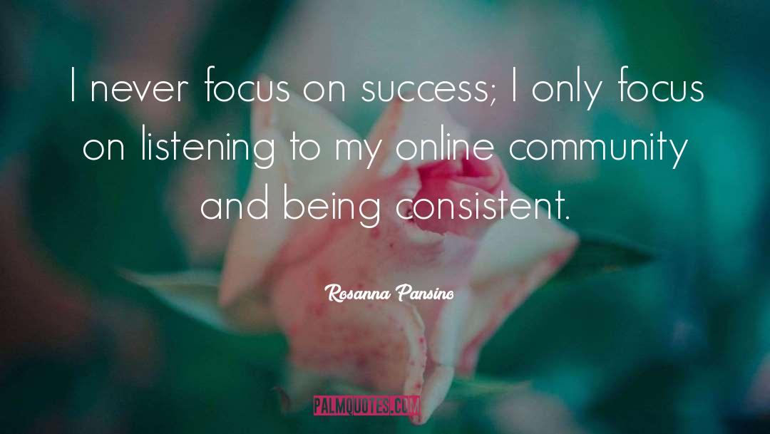 Rosanna Pansino Quotes: I never focus on success;