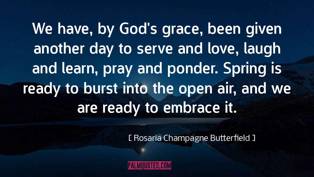 Rosaria Champagne Butterfield Quotes: We have, by God's grace,