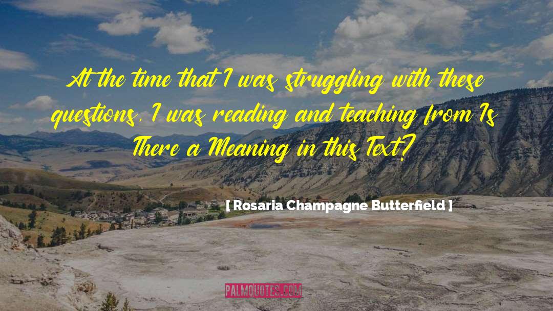 Rosaria Champagne Butterfield Quotes: At the time that I