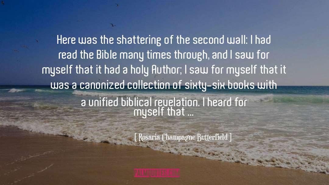 Rosaria Champagne Butterfield Quotes: Here was the shattering of