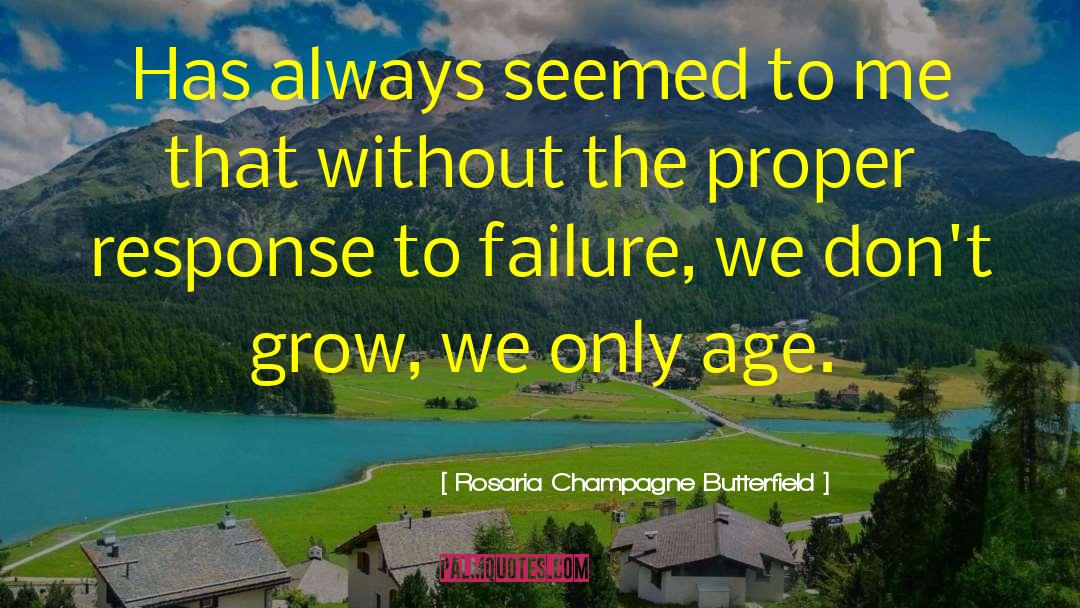 Rosaria Champagne Butterfield Quotes: Has always seemed to me