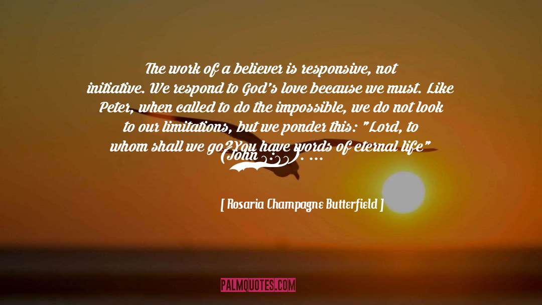Rosaria Champagne Butterfield Quotes: The work of a believer