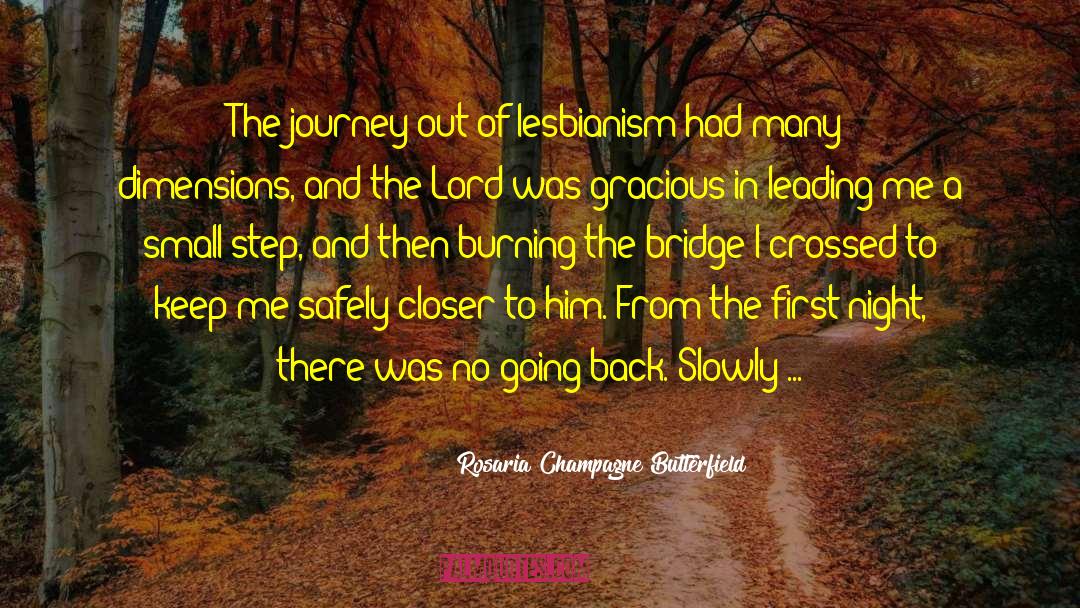 Rosaria Champagne Butterfield Quotes: The journey out of lesbianism