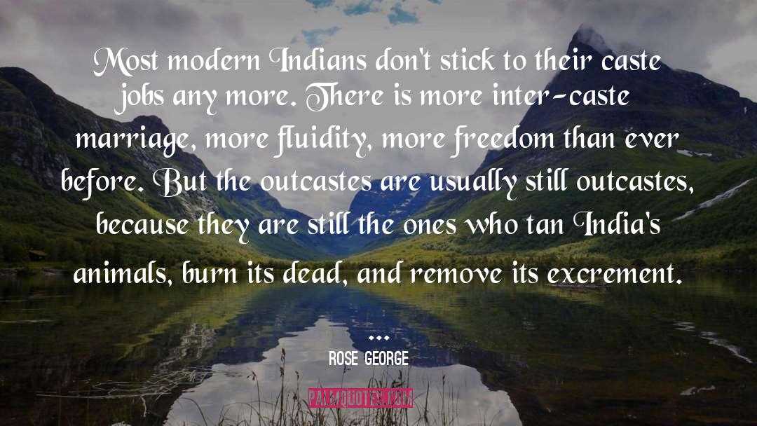 Rose George Quotes: Most modern Indians don't stick