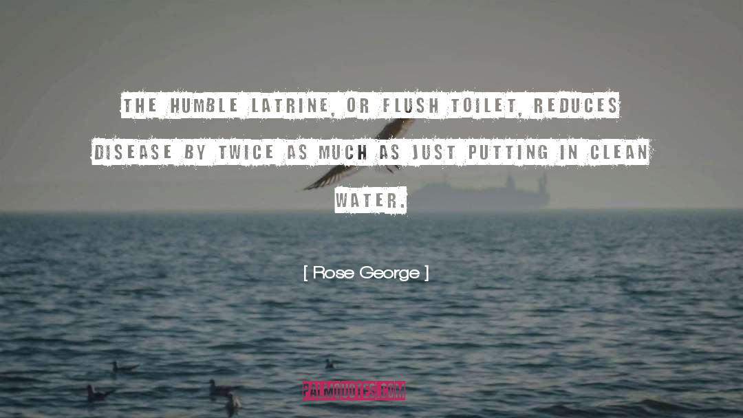Rose George Quotes: The humble latrine, or flush