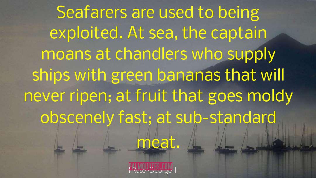 Rose George Quotes: Seafarers are used to being