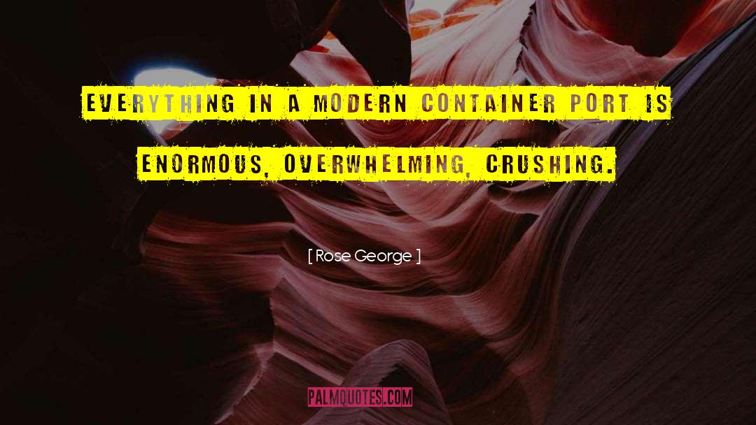 Rose George Quotes: Everything in a modern container