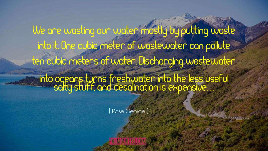 Rose George Quotes: We are wasting our water