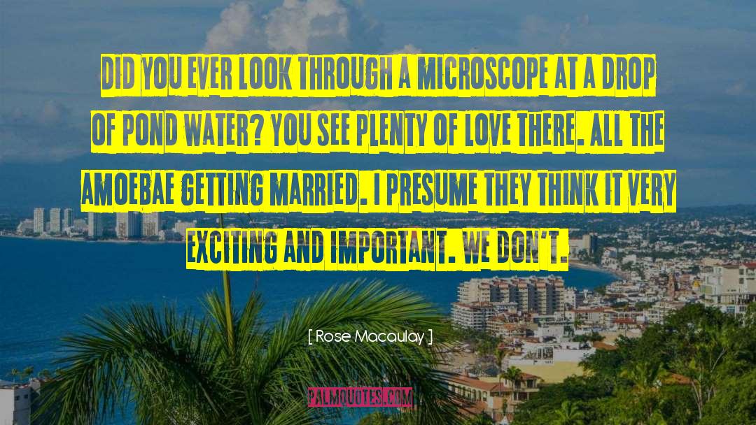 Rose Macaulay Quotes: Did you ever look through