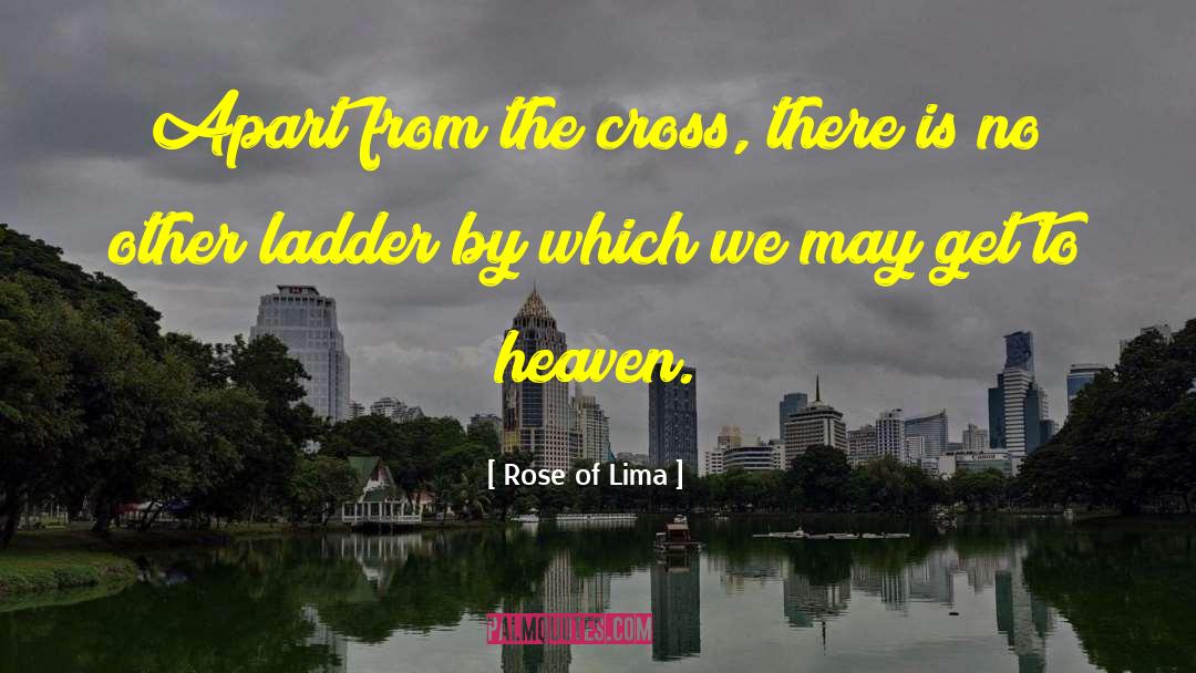Rose Of Lima Quotes: Apart from the cross, there