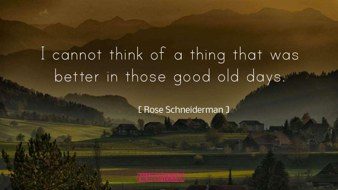 Rose Schneiderman Quotes: I cannot think of a