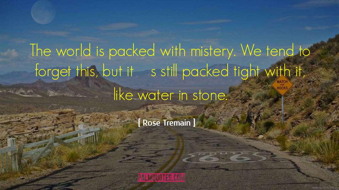 Rose Tremain Quotes: The world is packed with
