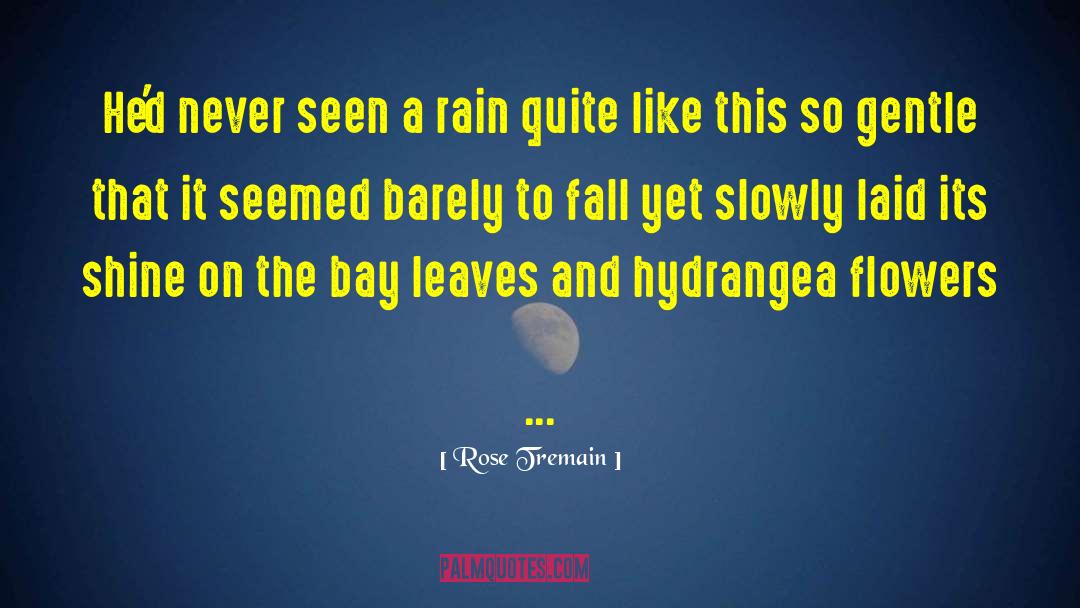 Rose Tremain Quotes: He'd never seen a rain