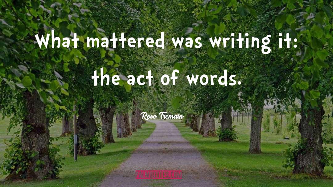 Rose Tremain Quotes: What mattered was writing it: