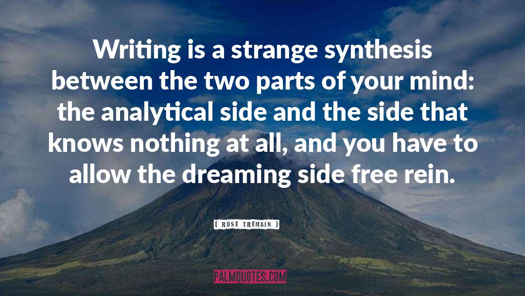 Rose Tremain Quotes: Writing is a strange synthesis