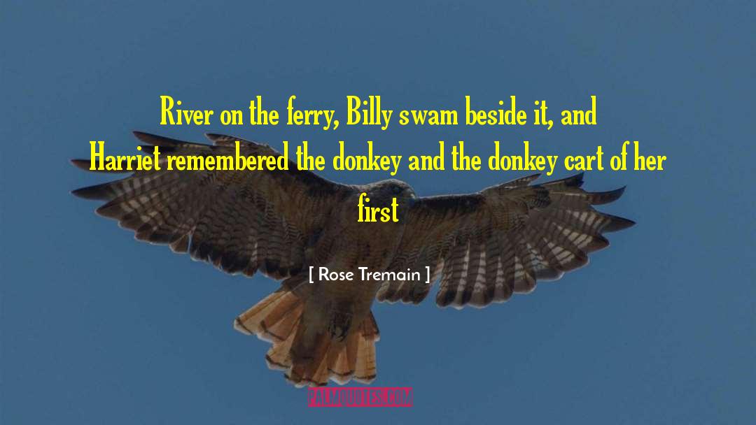 Rose Tremain Quotes: River on the ferry, Billy