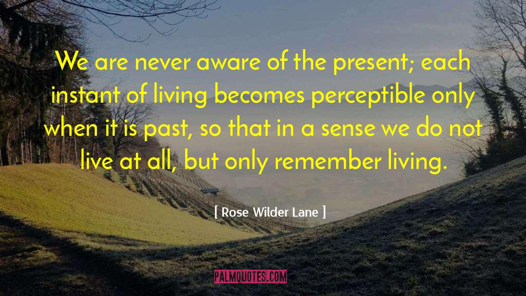 Rose Wilder Lane Quotes: We are never aware of