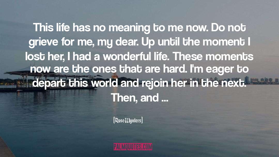Rose Wynters Quotes: This life has no meaning